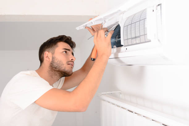 Air Duct Mold Removal in Richton Park, IL